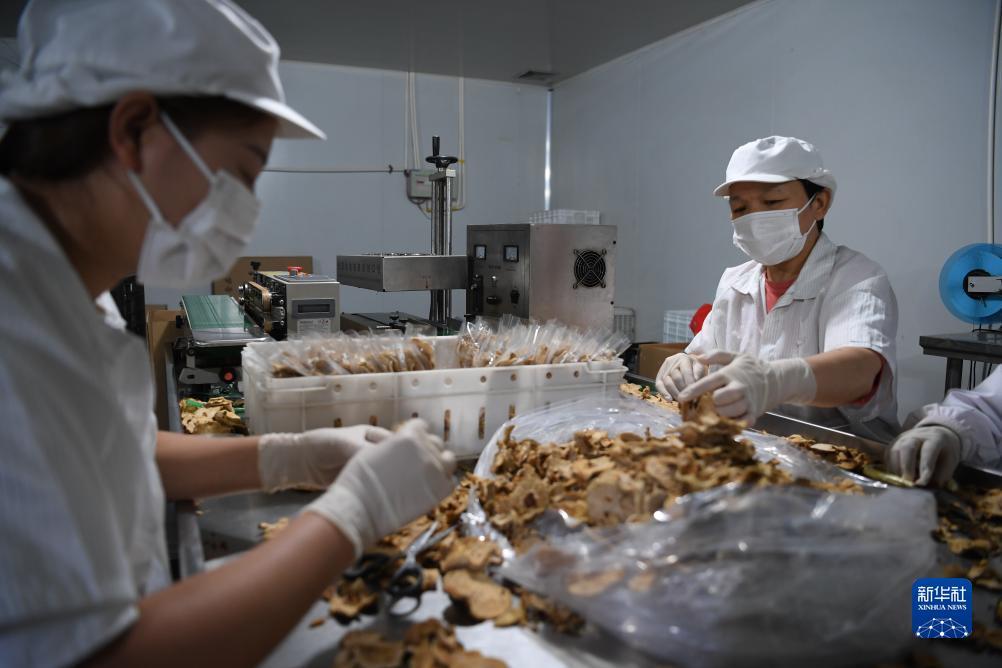 威澳门尼斯人电子游艺